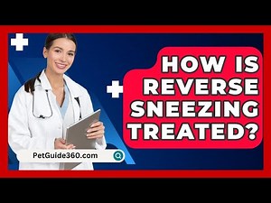 How Is Reverse Sneezing Treated? - PetGuide360.com