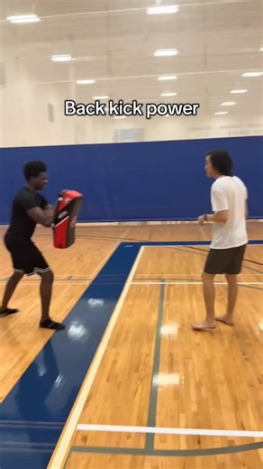 Martial Coach on Instagram: "Back Kick"