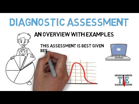 Diagnostic Assessment: Examples & Overview
