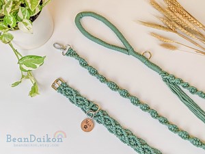 Personalized Dog Collar and Leash Set, Macrame Dog Collar, Boho Dog Collar, Macrame Collar Leash, Macrame Dog Leash, Macrame Dog Lead A14 - Etsy
