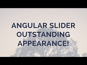 Angular Slider Example