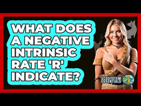 What Does a Negative Intrinsic Rate 'r' Indicate?
