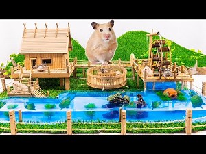 Build Hamster Maze - DIY Cardboard Hamster House and Turtle swimming pool
