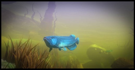 Feed and Grow Fish torrent download for PC