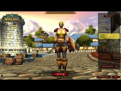 TBC Paladin Leveling Guide... Its Complicated...