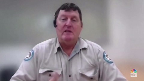 'Toadzilla': Australian park rangers discover record-breaking cane toad