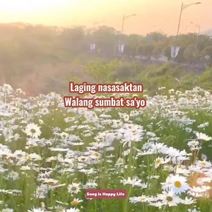 220K views · 6.2K reactions | Lagi Na Lang (Count On You) Tagalog version ( Narex Bernan) -Tommy Shaw  | Song is Happy Life | Facebook