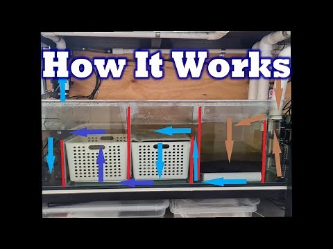 Freshwater Sump Filter Setup