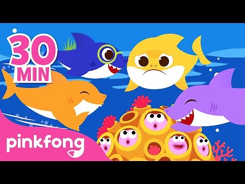 Baby Shark More and More! | Best Baby Shark Songs ONLY | Pinkfong Songs for Kids