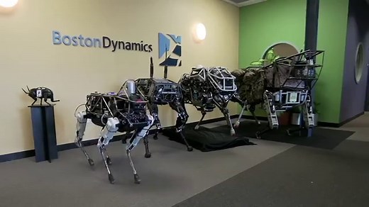 A (Not So Brief) History of the M16