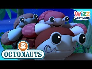 ‪@Octonauts‬ - Getting Inked | Compilation | Wizz Cartoons