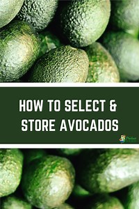 How to Select & Store Avocados - The Produce Nerd