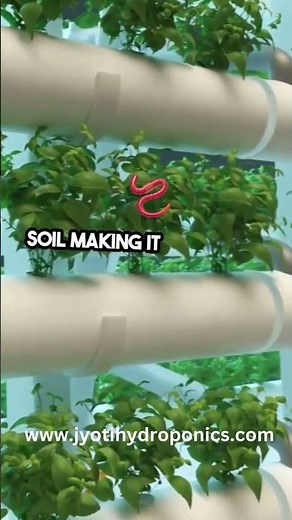 Hydroponic setup at Home | How to Start Hydroponic farming at home | home gardening | gardening.