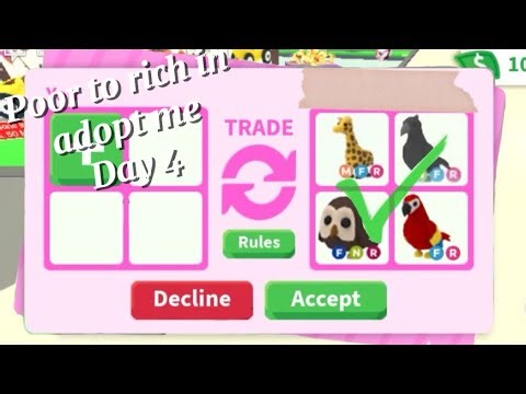 Poor to rich in adopt me + giveaway