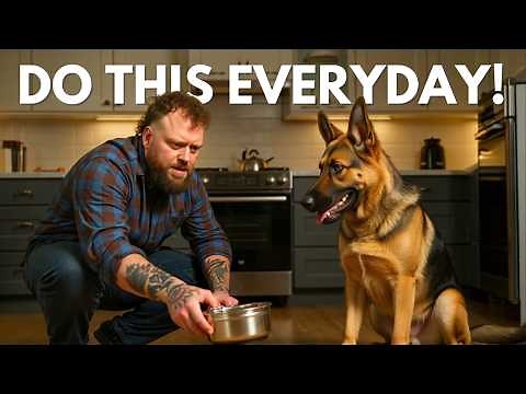 5 Dog Training Exercises You Should Do EVERY DAY!