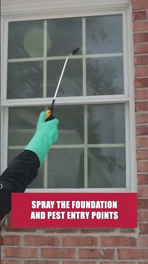 The Quick Guide to Scorpions! [DIY Pest Control]