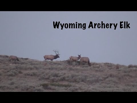 Wyoming Archery Elk