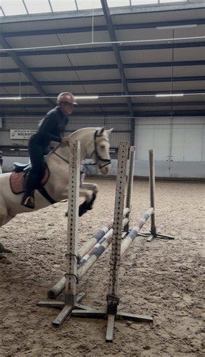 Spring Clinic Insights for Equestrians in a Snowy Stable