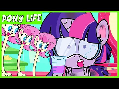 Pony Life | NEW | Pony Life Potion Mystery | MLP Pony Life