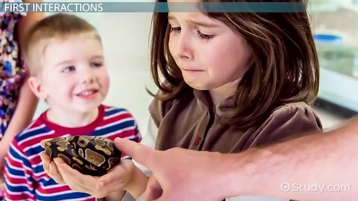 Collective Unconscious by Carl Jung | Definition & Examples