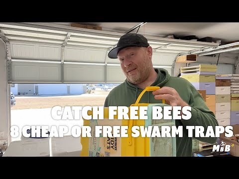 8 Cheap or Free Swarm Trap Ideas for Free Honey Bees