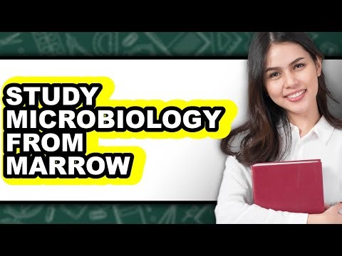How To Study Microbiology From Scratch - Full Guide