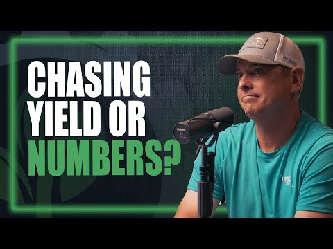 Chasing Yield Without Losing Reality