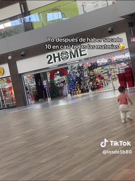 Celebrando Logros Académicos: ¡10 en Todas las Materias!