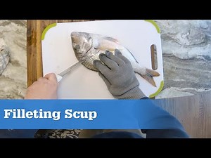 How To Fillet Scup (Porgies)