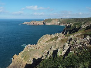 How to get your best Olympus JPEGs yet