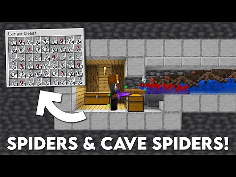 Minecraft Easy Spider & Cave Spider Spawner XP Farm 1.21+