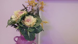 Columbus, Ohio, is perhaps not where one might expect to find a sparkling young actor and her rocker husband setting up their first house. But Debby Ryan and Josh Dun relish an impulsive departure from the script. Take the full tour here 👉 http://archdg.co/oFJwqtL | Architectural Digest