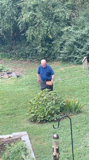 7.8K views · 352 reactions | DAD’S JUST LIVING HIS BEST LIFE: He’s been puttering around like this for about an hour. Not a care in the world ♥️ | Mary Grace Media | Facebook