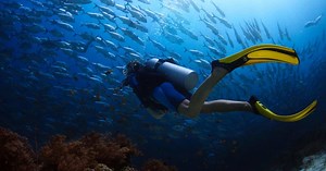 12 Best Scuba Tanks (2025 Reviews) - Dive Aeris