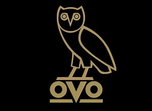 Drake Owl Logo Text
