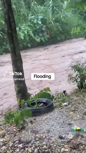Flooding #fyppppppppppppppppppppppp #fyp #fypdong #goviral #fviralvideo #viral #fypviral #fy #trendnow #fypdongggggggg #fyppp #duet #fypシ゚viral #trend