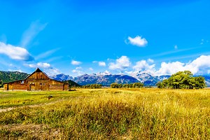 How to Find Free or Cheap Land to Start a Homestead