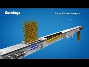 Carier Chain Conveyor