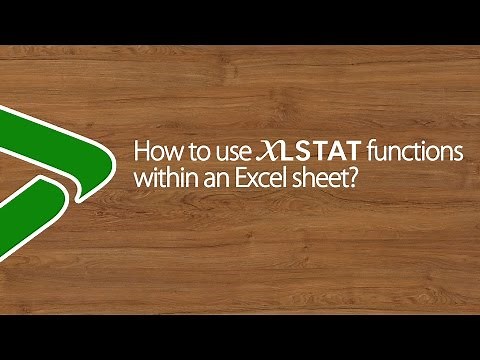 How to use XLSTAT functions within an Excel sheet?