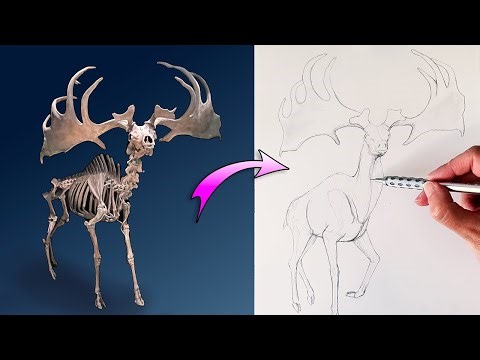 The Secret to Drawing Creatures: Start With Skeletons