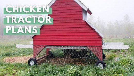 35 Chicken Tractor Plans: The Ultimate List