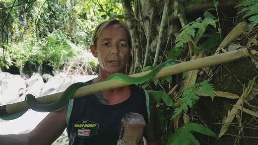 Studying facts about various pit viper snake species and their hunting behaviors