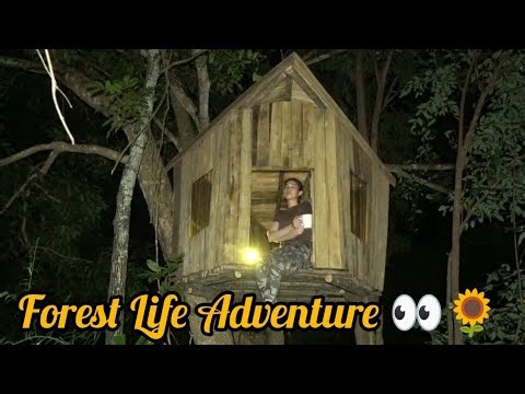 Building Survival Wooden Tree House Shelter In Wild