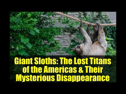 Giant Sloths: The Lost Titans of the Americas & Their Mysterious Disappearance