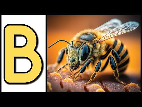Learn About Bugs from A to Z for Kids | Fun and Educational Insect Facts