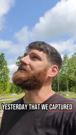 When Life is going good off the grid #offgrid #tennessee #simplelife #offgridliving #livingmybestlife #LifeIsGood #offgridlife | Off Grid & Growing