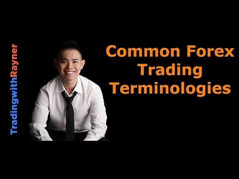 Forex Trading for Beginners #4: Common Forex Trading Terminologies by Rayner Teo