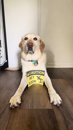 Preventing slips, trips and falls at work | Ohio State Medical Center