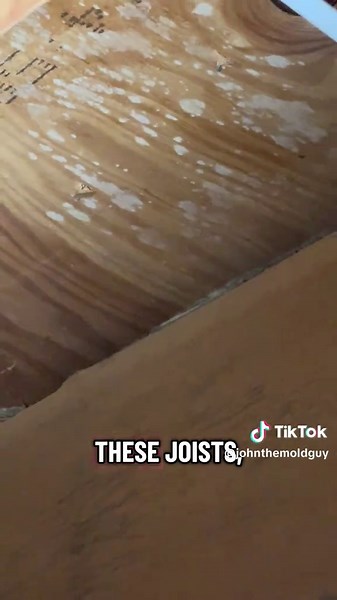 Cupped floors often indicate moisture. Looking for signs like this can help determine if a house has had moisture issues. #woodfloors #mold