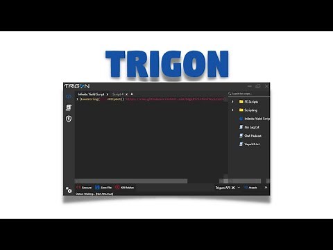 Trigon Executor | Level 8 | Simple Interface | Roblox Exploit